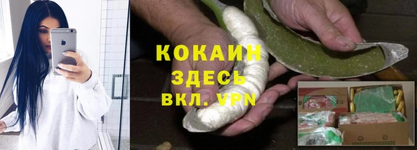 хмурый Абаза