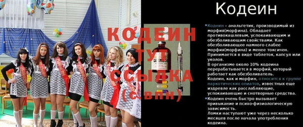 хмурый Абаза