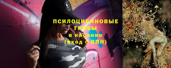 хмурый Абаза