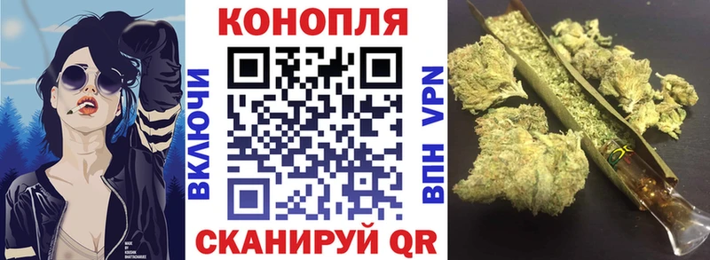 Бошки Шишки планчик Яхрома